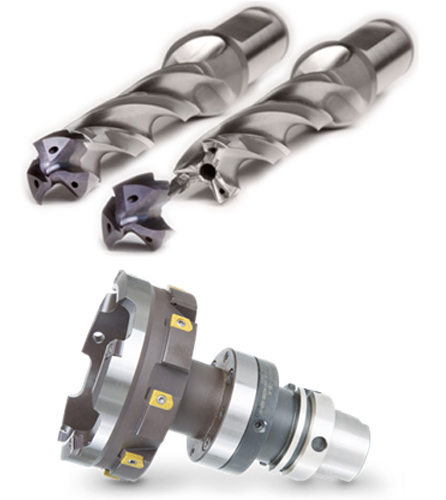 Especializado de Mapal